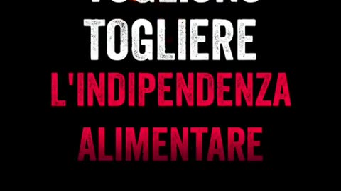 VERSIONE COMPRESSA DEL VIDEO