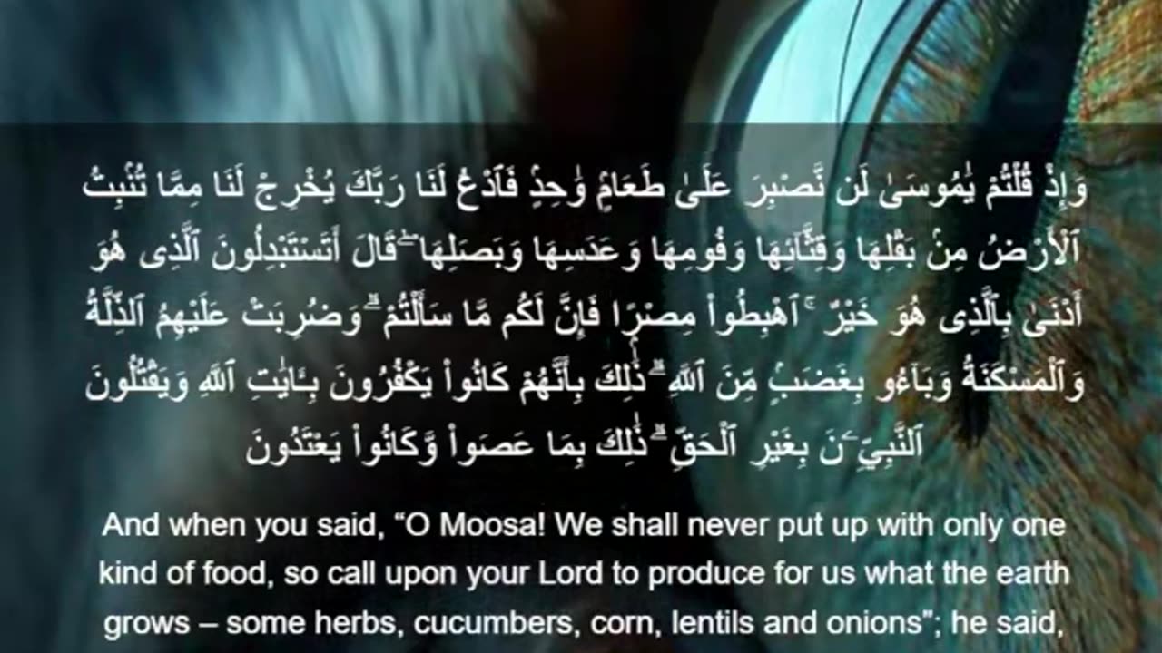 Beautiful recitation of the Holy Quran||تلاوة جميلة للقرآن الكريم