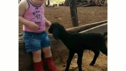 The girl's love for her kid 👧 🐑