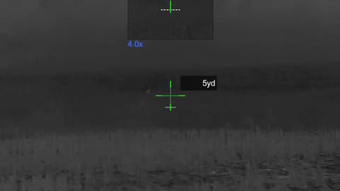 5 Coyotes Respond - shot alpha and one female - .300 BO Subsonic