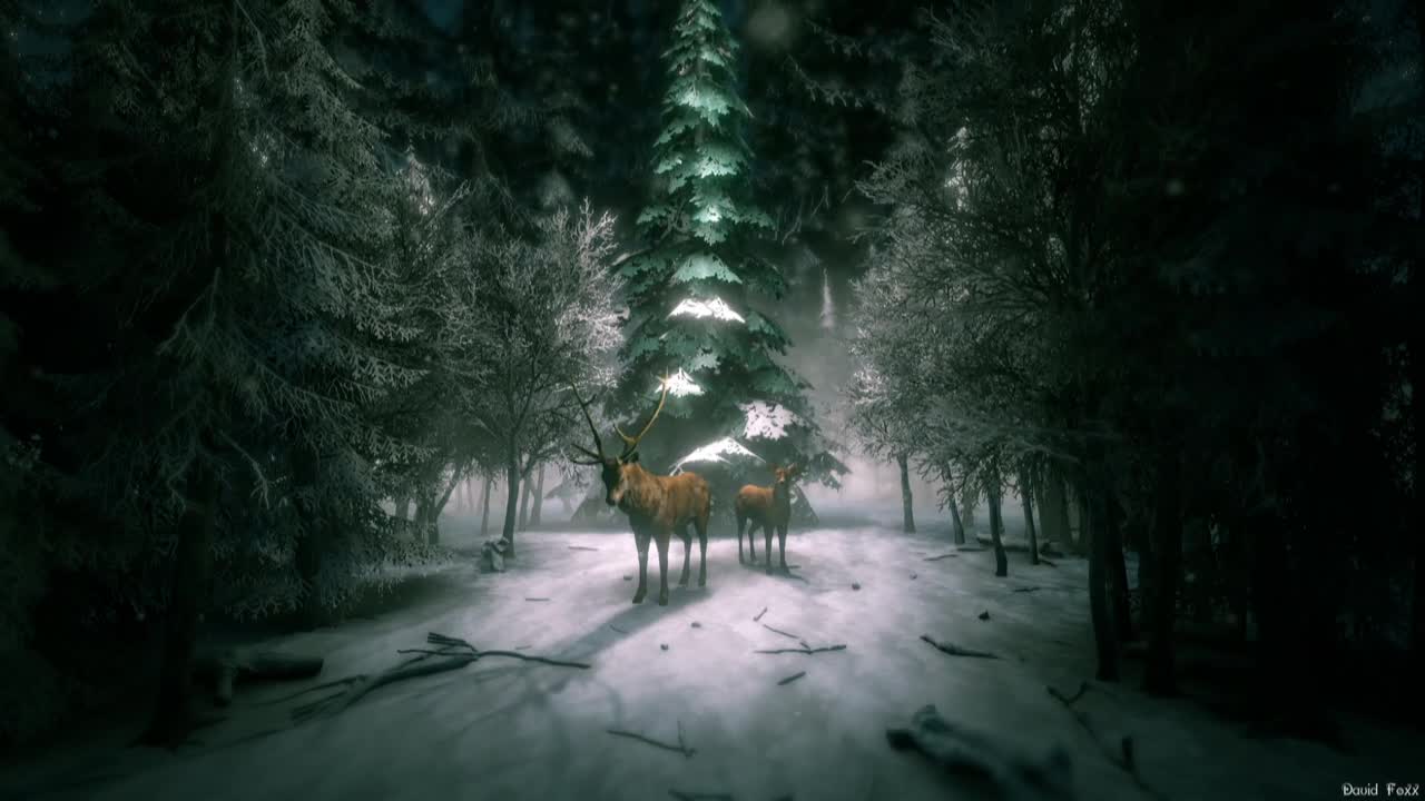 Christmas Deer Reindeer Winter Noel Snow Forest