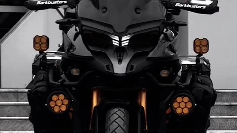 Black Rider 2