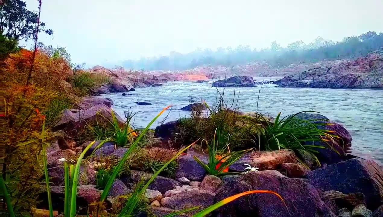 Beautiful Nature and River flow__ short video.#@