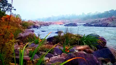 Beautiful Nature and River flow__ short video.#@