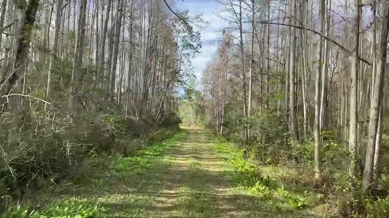Slow ride