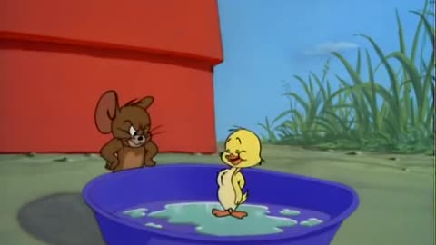 Tom and Jerry - Just Ducky