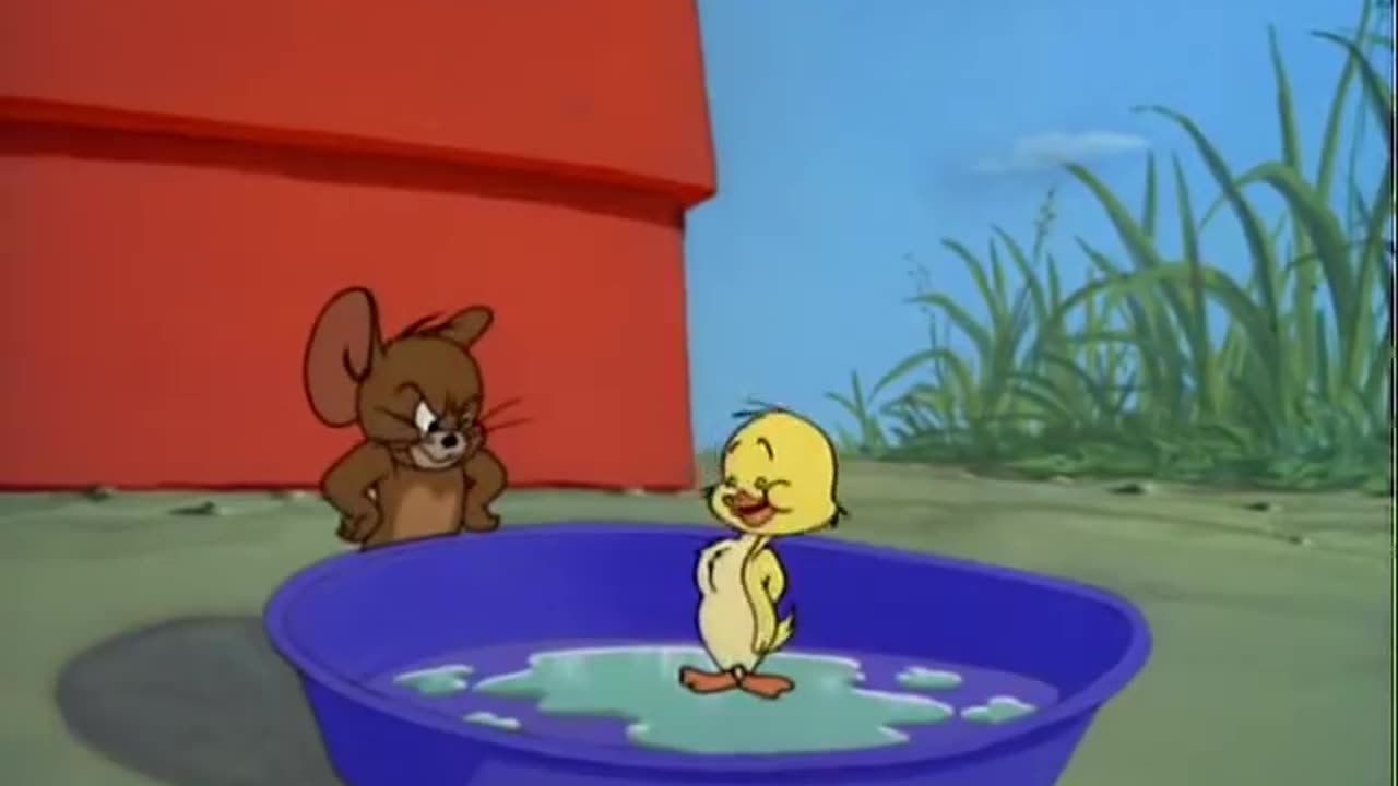 Tom and Jerry - Just Ducky