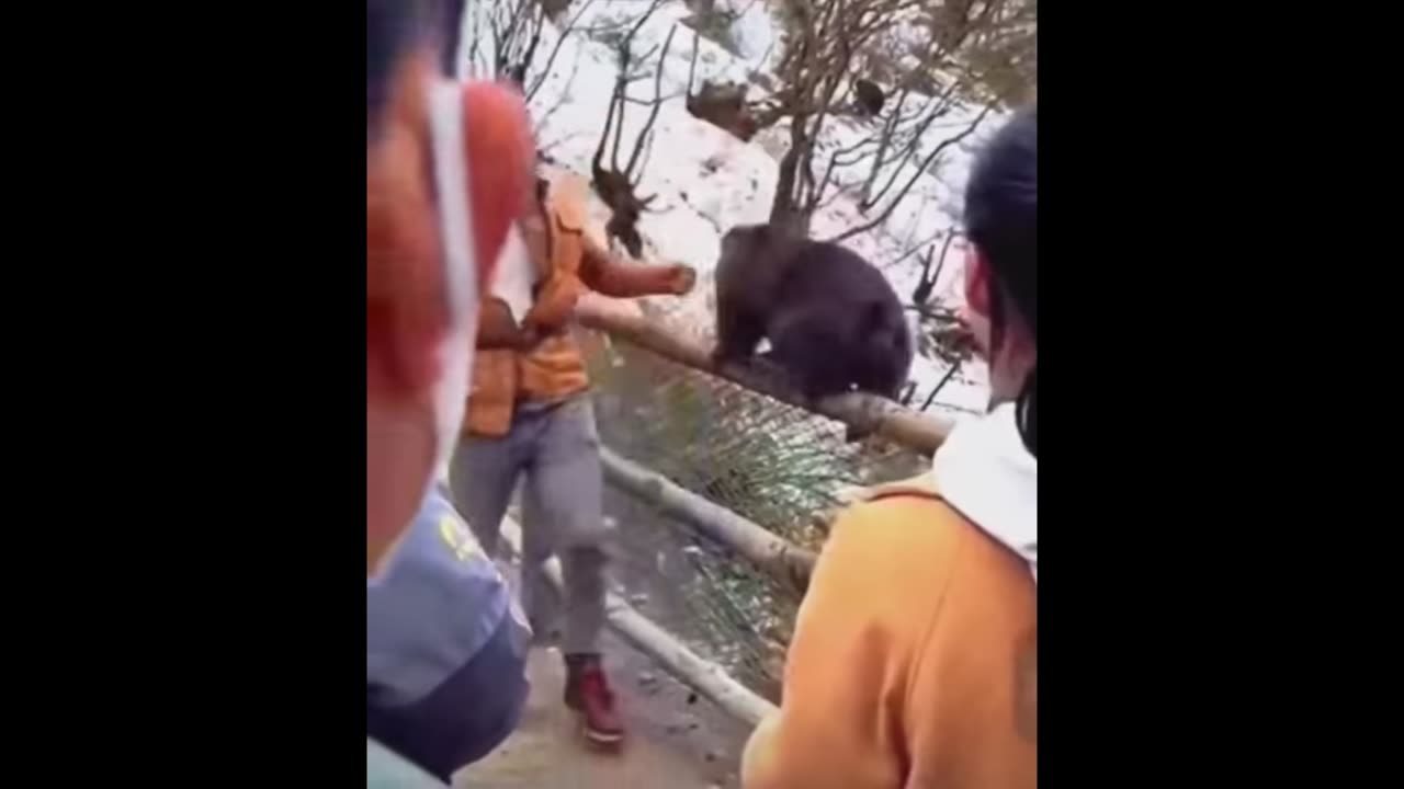 SHOWING👀THE MONKEY🐒WHO'S BOSS👀🔥😎