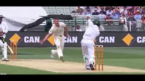 CRAZY Cricket Moments