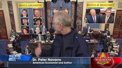 Navarro on RINOs who are more dangerous than Democrats