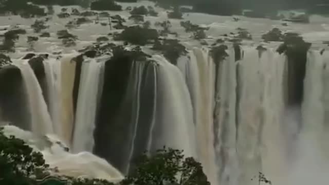 Gorgeous Jog Falls will leave you mesmerized