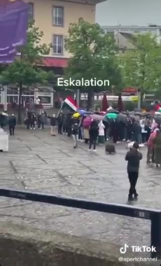 "palestine" antisemities attacking an Israel Supporter