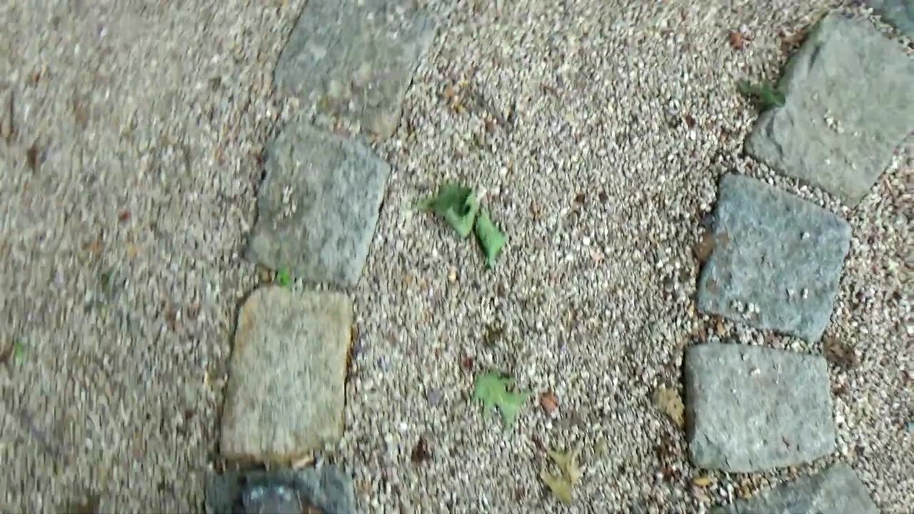 Stone Steps