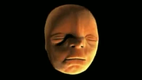 This is how human face grow in womb