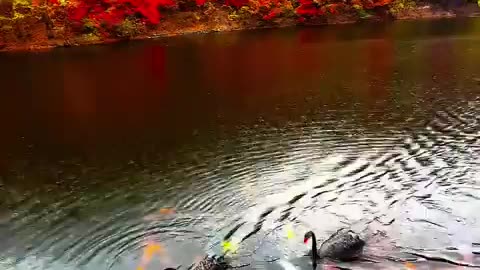 Beauty of Nature