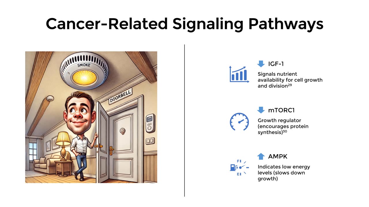 How Calorie Restriction Can Influence Tumor Growth