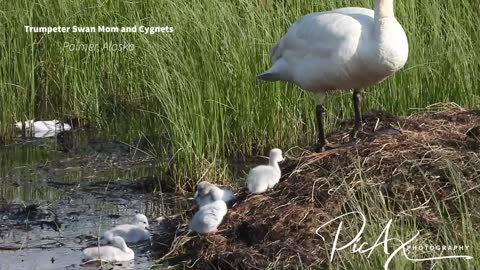 A day out on the marsh! Whew! We made it home!