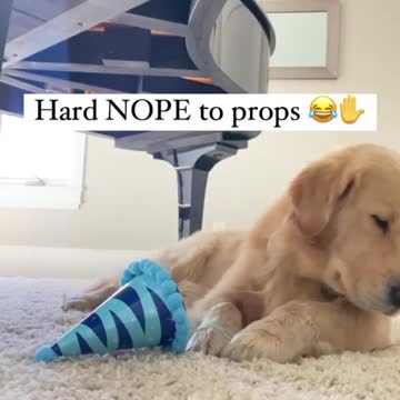 The big dog and the hat and nice music