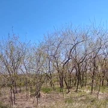 Low Flying Ukrainian Su-25