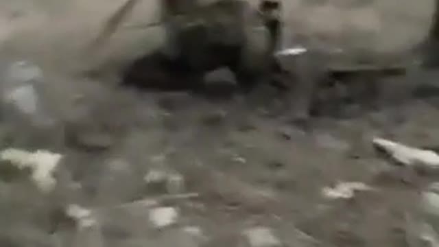 22.03.2022. Demilitarization and denazification of Ukraine!!!