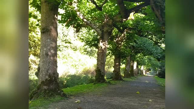 The Argory, Northern Ireland