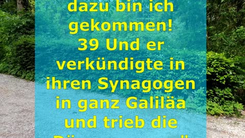 "Lass mich am Morgen hören deine Gnade." Psalm 143,8