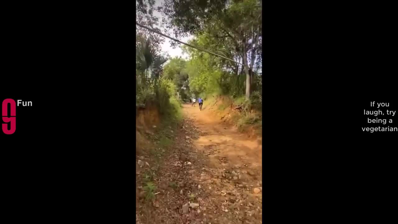 Try Not To Laugh Funny Videos - Funny Moments Of The Year Compilation
