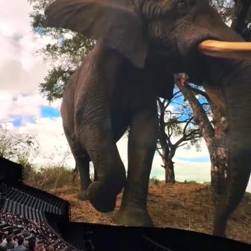 3D video view in elephant || #nature #elephant #3d #trending
