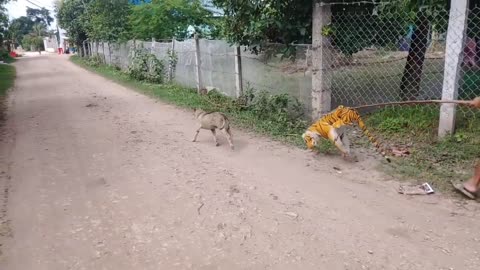 Wow Nice Prank Fake Tiger Prank Dog Run Funny Action 2021