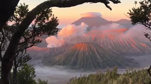 Beauty of Nature