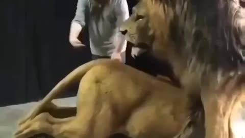 Cute animal behavior makes you happy