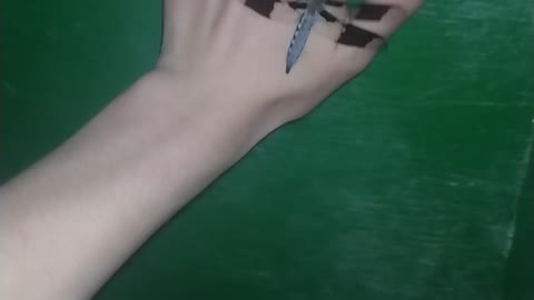 Friendly Dragonfly Rests On My Hand