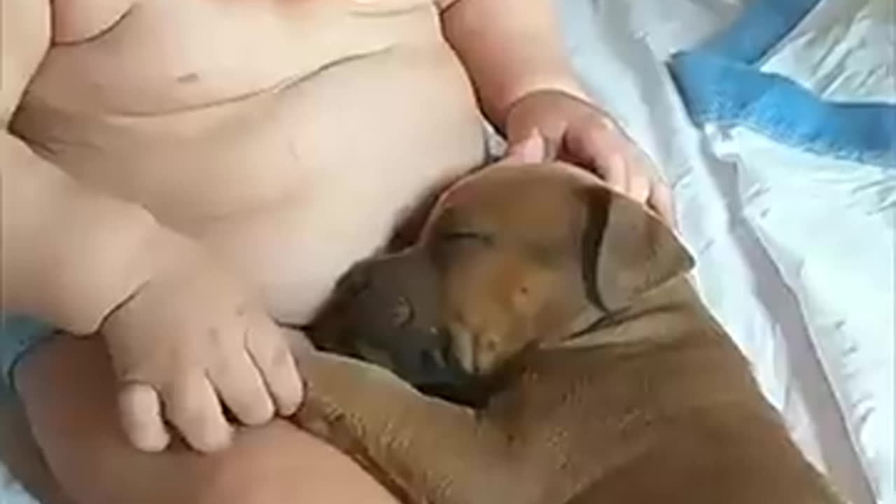 Adorable Baby Touches Sleepy Puppy as It Lays in His Lap__