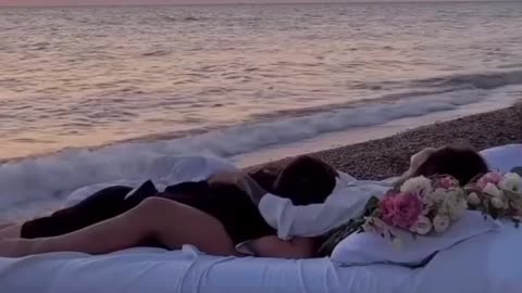 Romance 💞 Romantic Love Birds 👩‍❤️‍💋‍👨