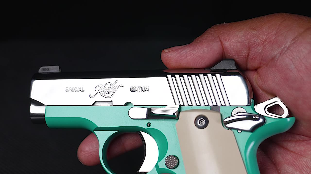 Kimber SE