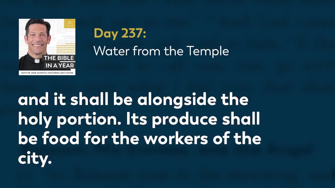 Day 237: Water from the Temple — The Bible in a Year (with Fr. Mike Schmitz)