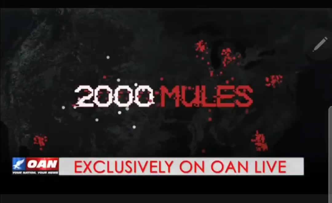 #2000MulesMovie