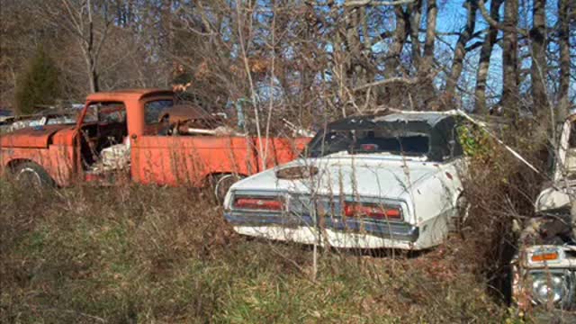 OLD CLASSIC JUNKYARD YARD ART 2