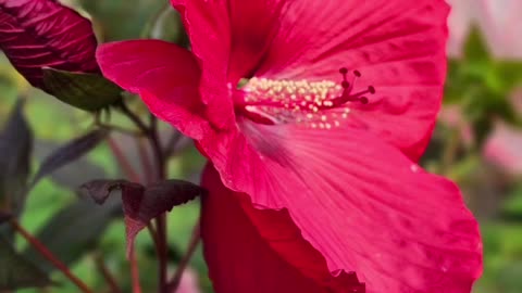 Flowers To Brighten Your Day