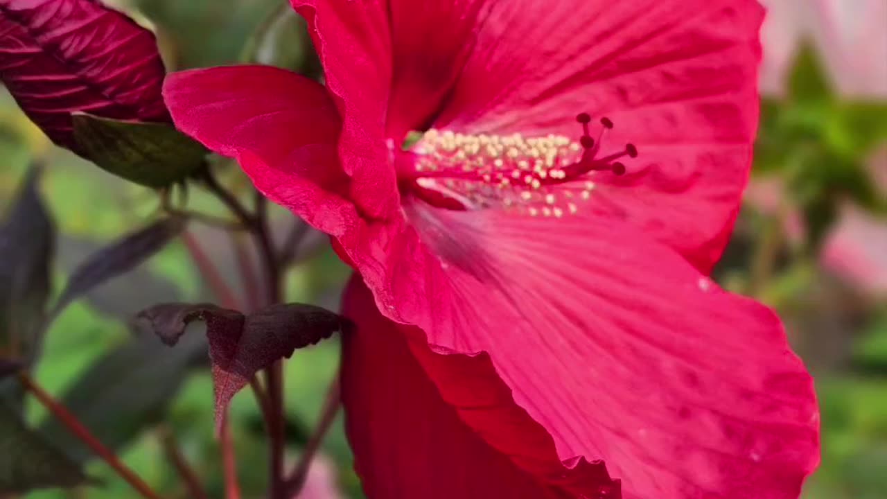 Flowers To Brighten Your Day