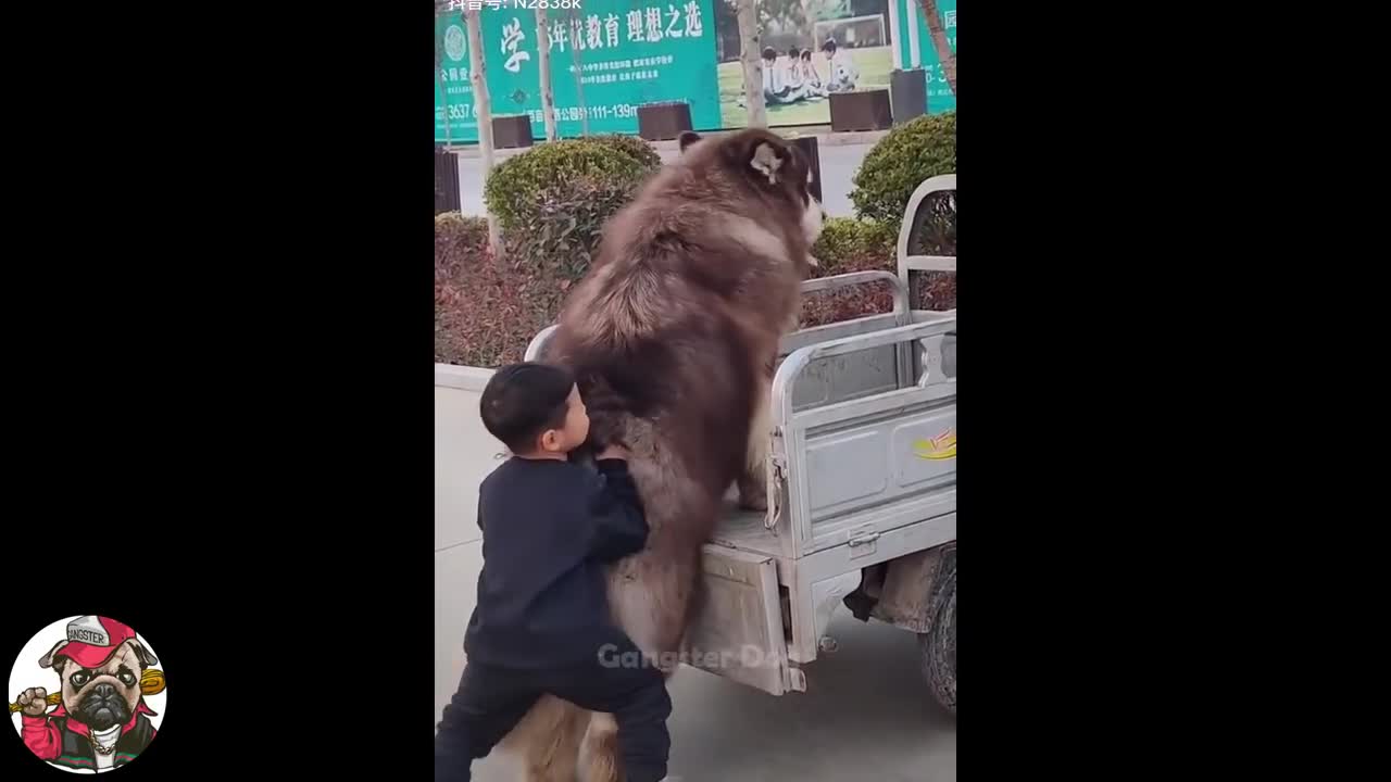 There Is No Cuter Thing Than These Pets