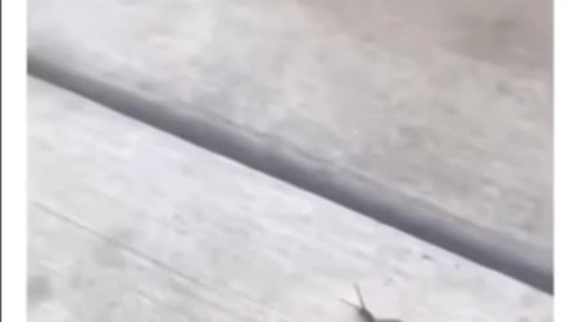 Just saved that dude about a month!!