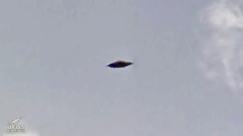 UFO found on Google Earth, flying above the Bermuda Zoo in Flatts Village