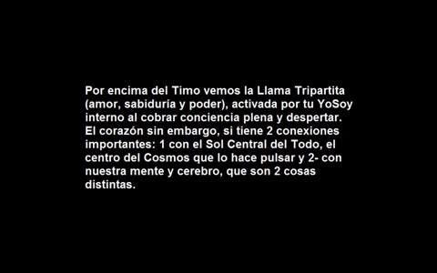 Corazón vs. Ancla del Alma-llama trina, Timo 4to