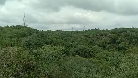Mountain forest sounds