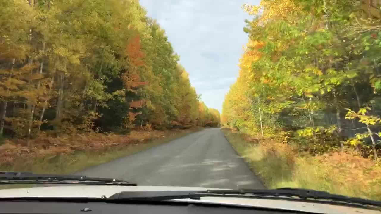 Beautiful Fall Color