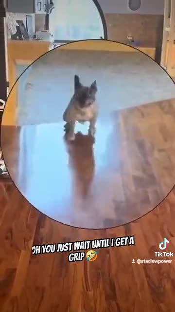 Kumalla the democrat demonrat