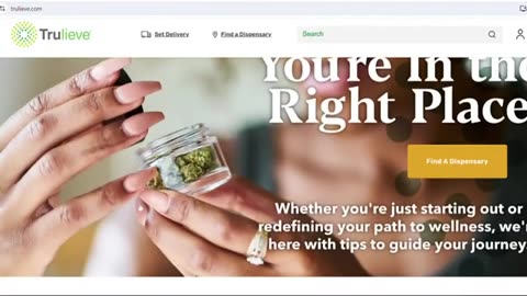 ADMENDMENT 3 FLORIDA Recreational marijuana in Florida Gov. DeSantis continues to fight it