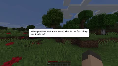 Beating Minecraft the Way Mojang Intended It