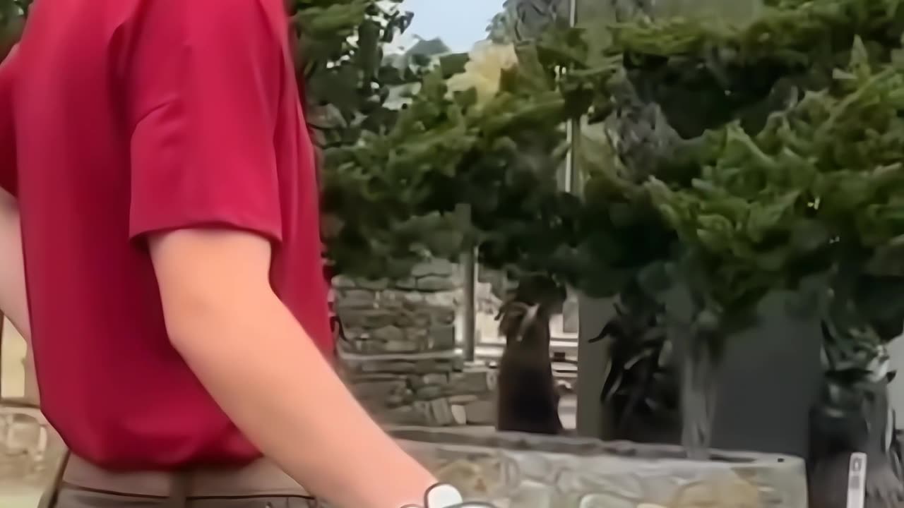 Funny Memes Compilation Pt. 2 😂 | GagBox. #FunnyMemes#MemesCompilation#Part2#Comedy#LOL#GagBox